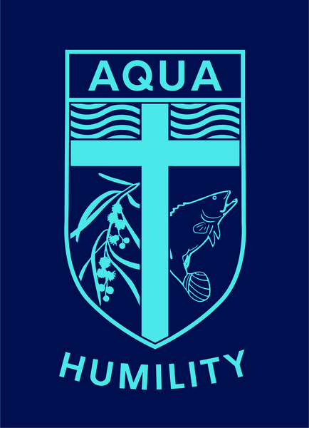 St Francis of Assisi_House Logos_AQUA