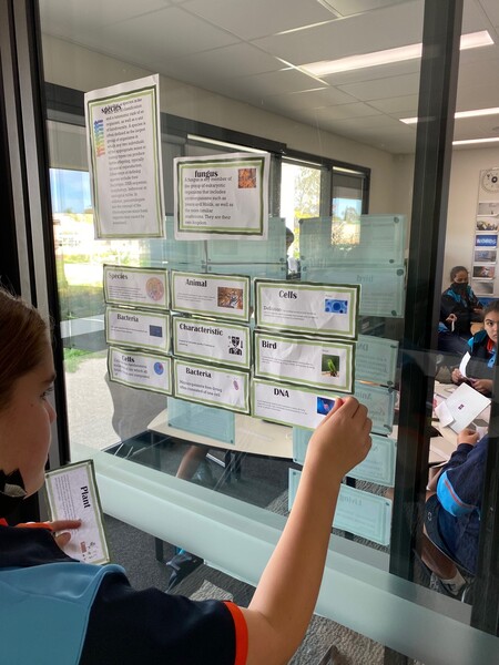 year 7 science word wall