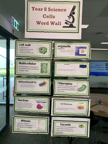 year 8 science word wall